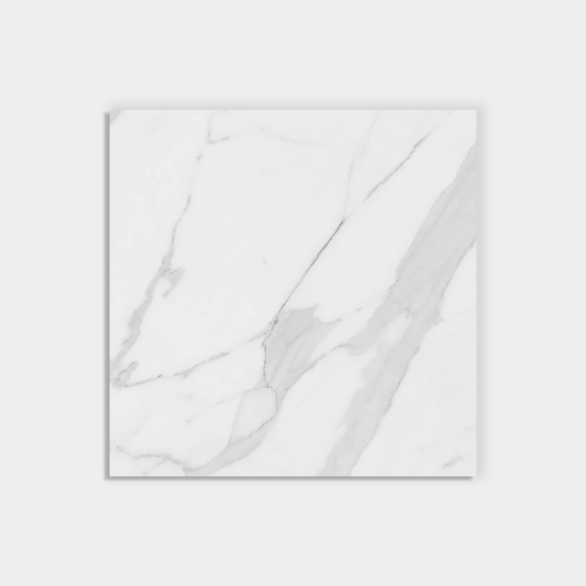 Harteflooring porcelanatos Carrara1 solo.jpg