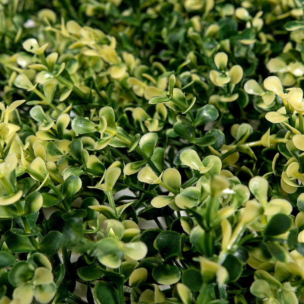 Pratrum Jardin 50x50 Atlanta