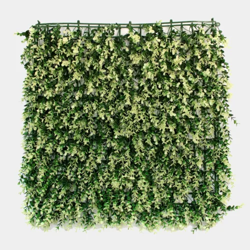 Pratrum Jardin 50x50 Atlanta