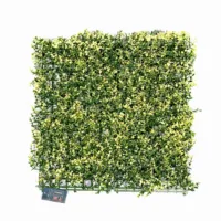 Pratrum Jardin 50x50 Atlanta