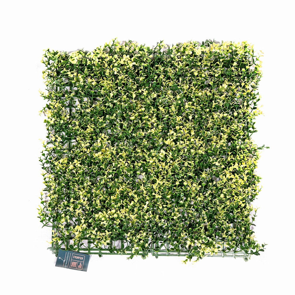 Pratrum Jardin 50x50 Atlanta