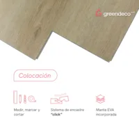 FT_GD-Colocacion-HAYA