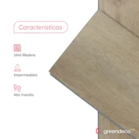 FT_GD-caracteristicas-HAYA