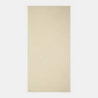 PPF103XG-154-UN_09092025-DSC098541_GRIS