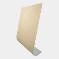 PPF103XG-154-UN_12092025-DSC00128_GRIS