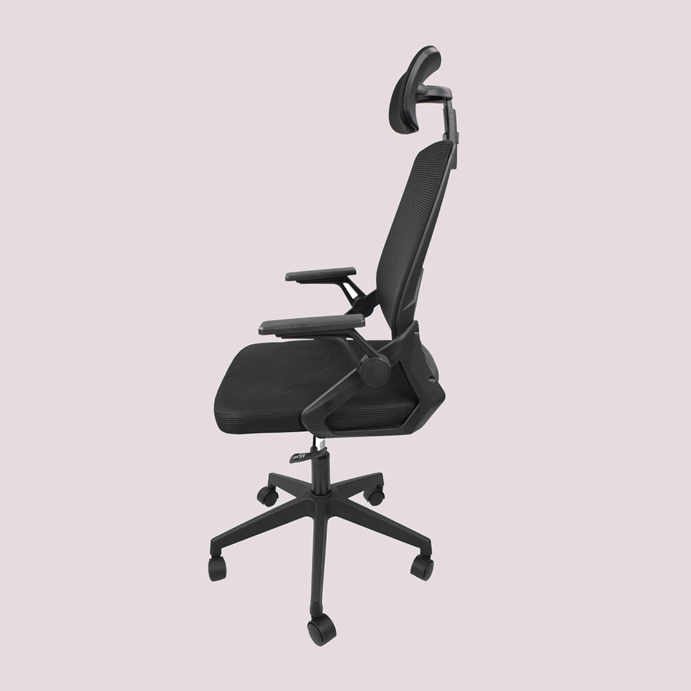 DSC09740 OFI048ST 002 UN