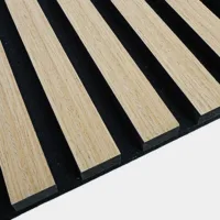 WPA001ZW 003 UN DSC00747 GRIS